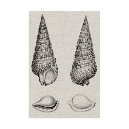 Trademark Fine Art Vision Studio 'Charcoal & Linen Shells I' Canvas Art, 22x32 WAG15381-C2232GG